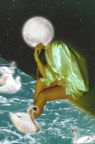 COLLABORATIONS artwork 13